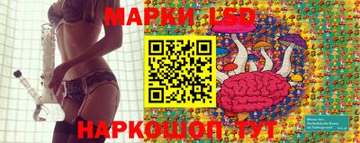 мдпв Сланцы