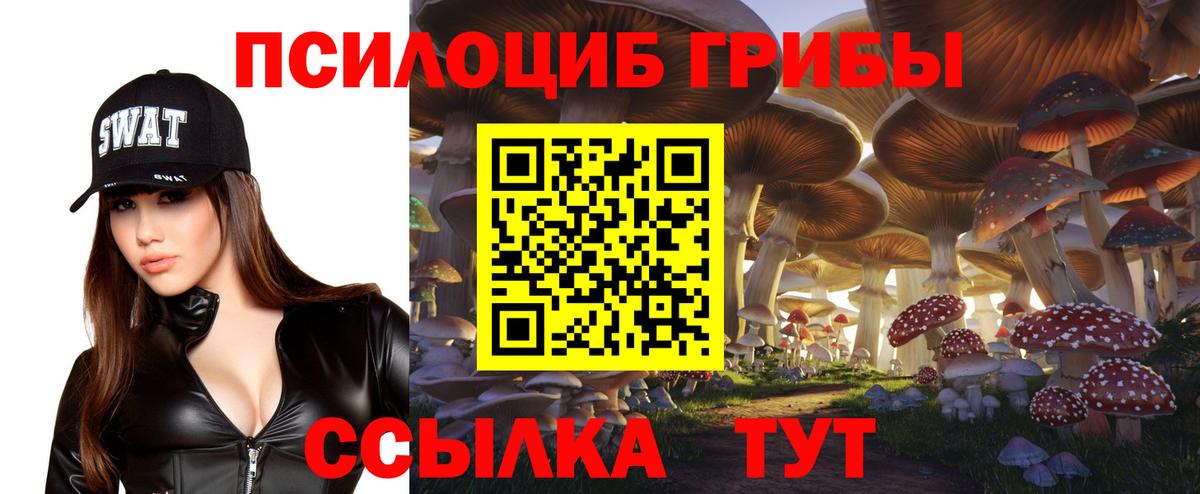 Новороссийск  Псилоцибиновые грибы ЛСД  Вход с VPN 